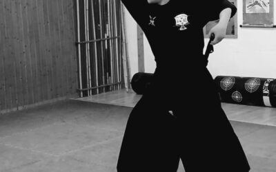 Jetzt neu! Shin-Ken Jitsu